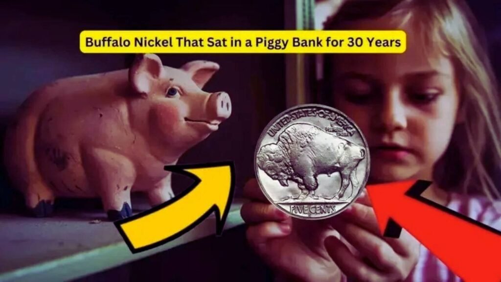 The Buffalo Nickel That Sat in a Piggy Bank for 30 Years